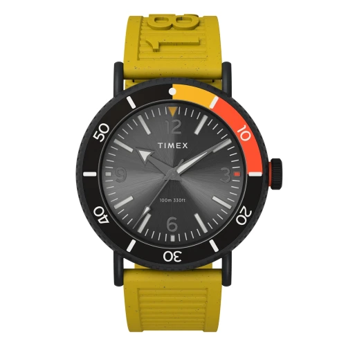 Мужские наручные часы TIMEX STANDARD DIVER TX2V71600 купить по цене 6987 грн на сайте - THEWATCH
